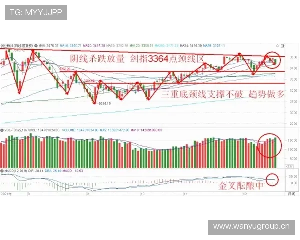 萨卡高开低走?成长稳定性与持续性分析 萨卡高开低走?成长稳定性与持续性分析